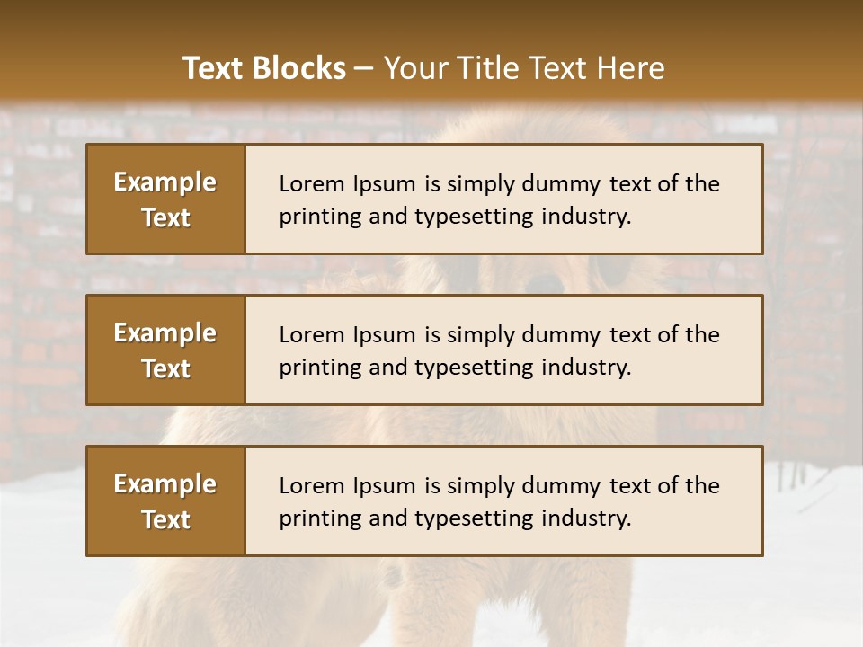 Agent Construction Construct PowerPoint Template