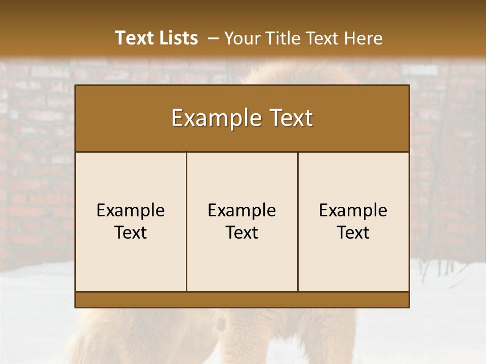 Agent Construction Construct PowerPoint Template
