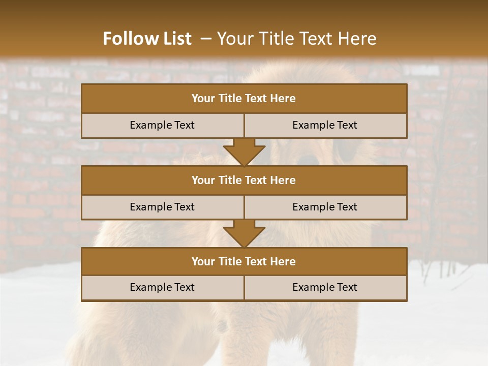 Agent Construction Construct PowerPoint Template