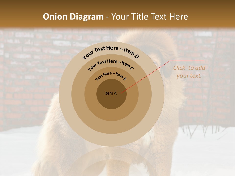 Agent Construction Construct PowerPoint Template