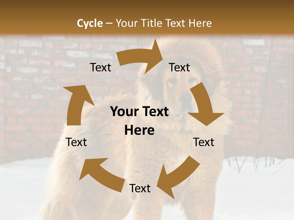 Agent Construction Construct PowerPoint Template