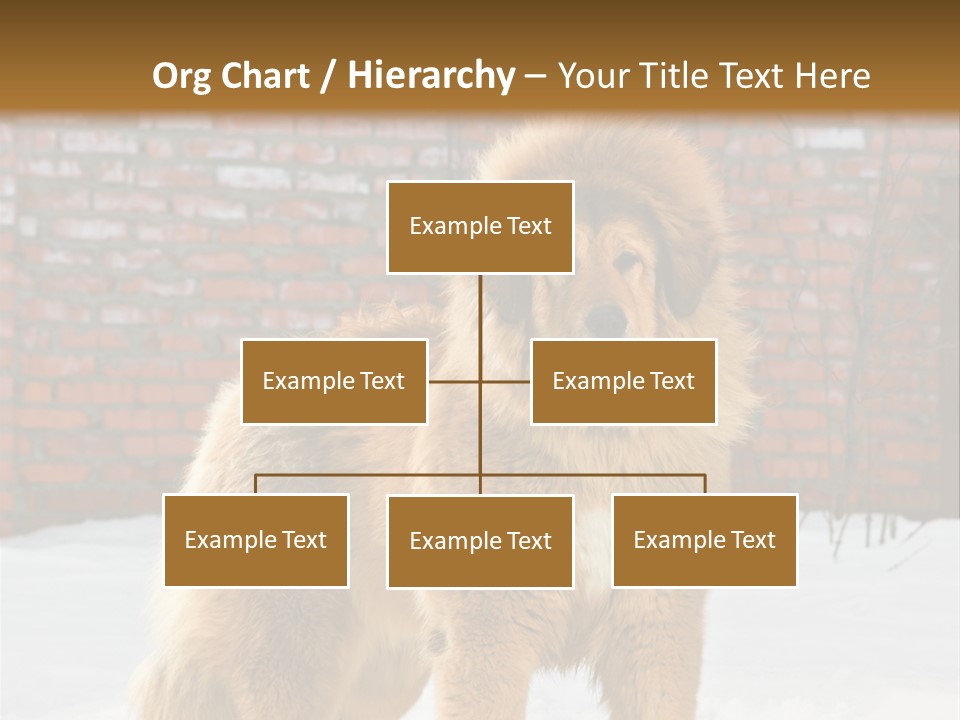 Agent Construction Construct PowerPoint Template