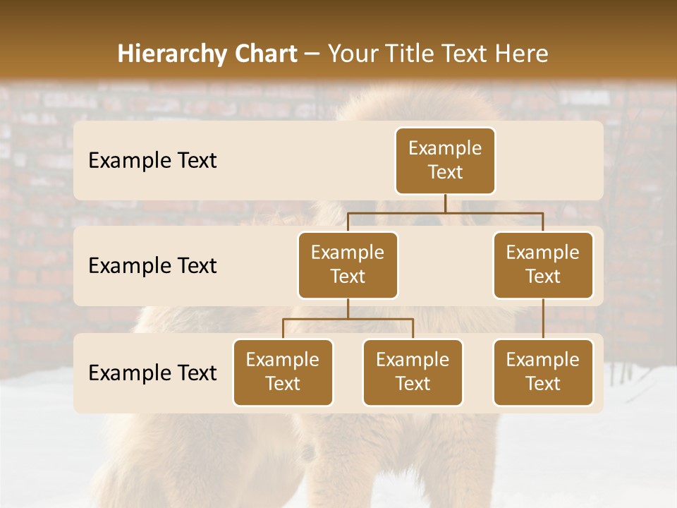 Agent Construction Construct PowerPoint Template