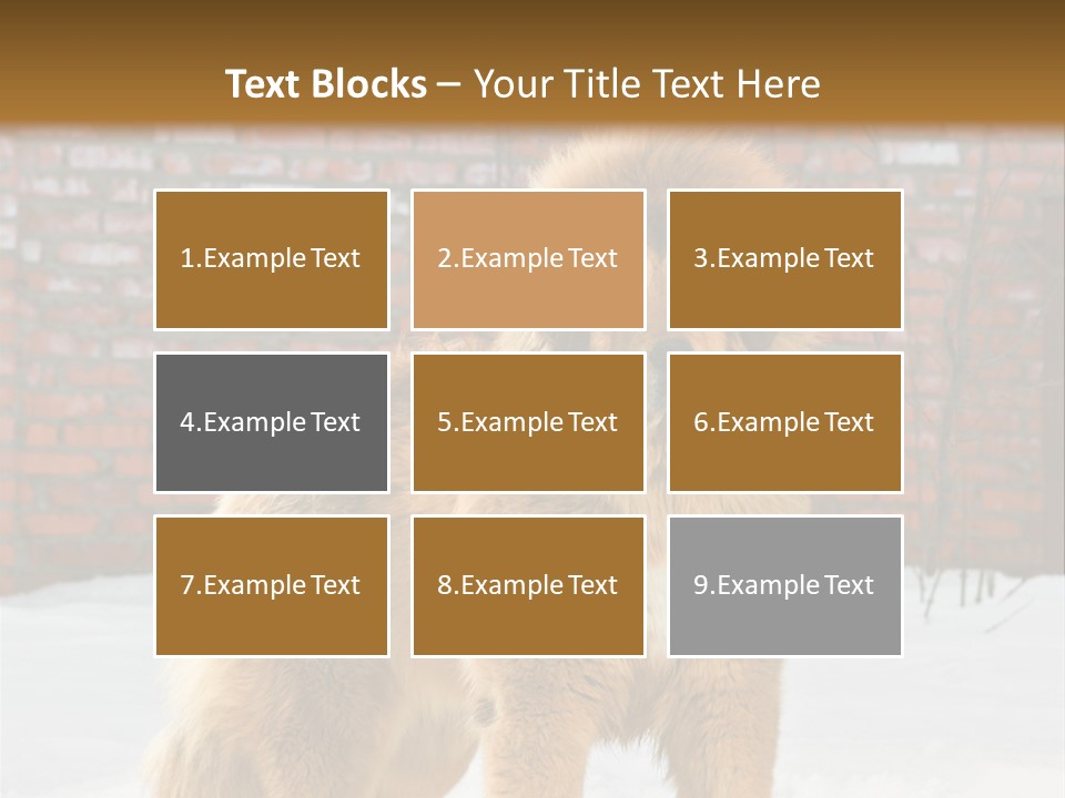 Agent Construction Construct PowerPoint Template