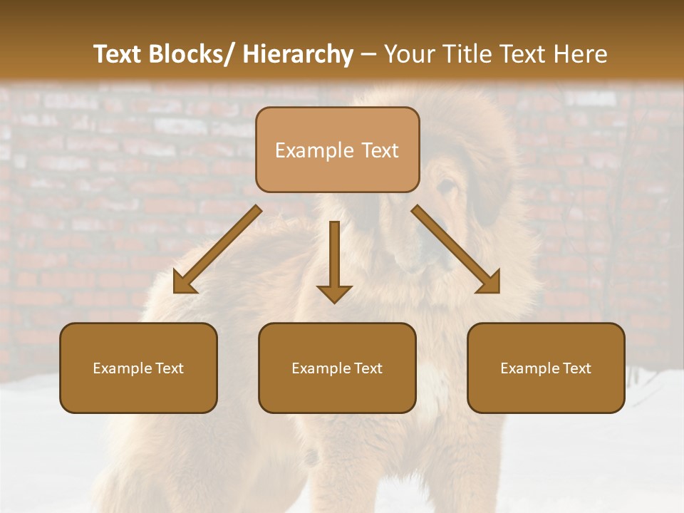 Agent Construction Construct PowerPoint Template