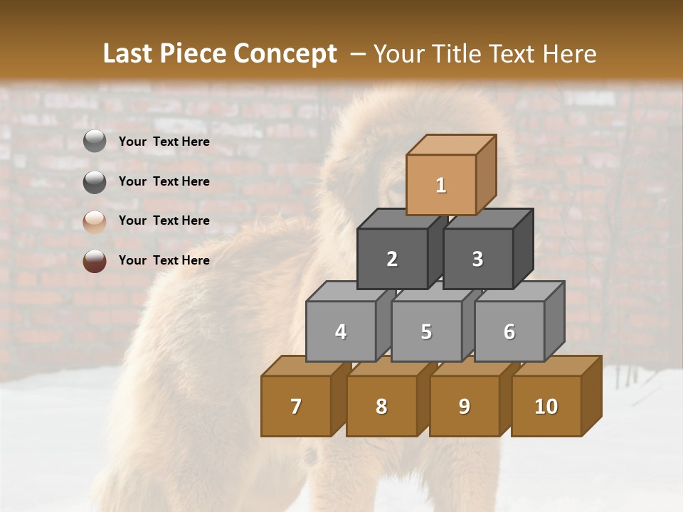 Agent Construction Construct PowerPoint Template
