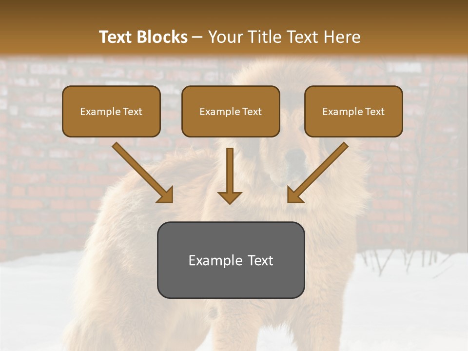 Agent Construction Construct PowerPoint Template