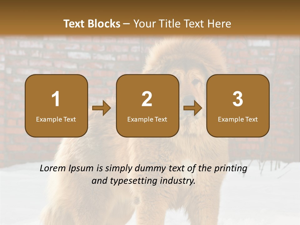 Agent Construction Construct PowerPoint Template