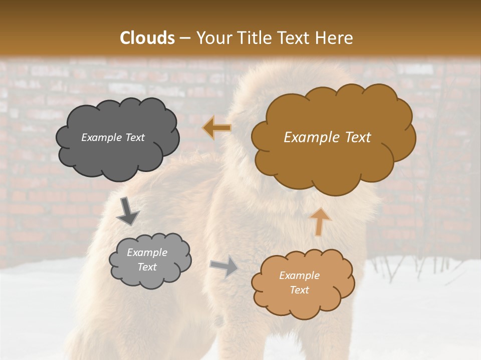 Agent Construction Construct PowerPoint Template