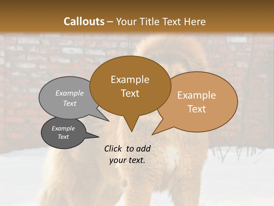 Agent Construction Construct PowerPoint Template