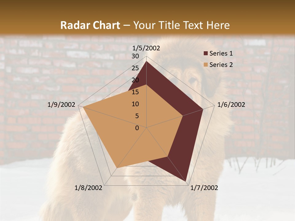 Agent Construction Construct PowerPoint Template