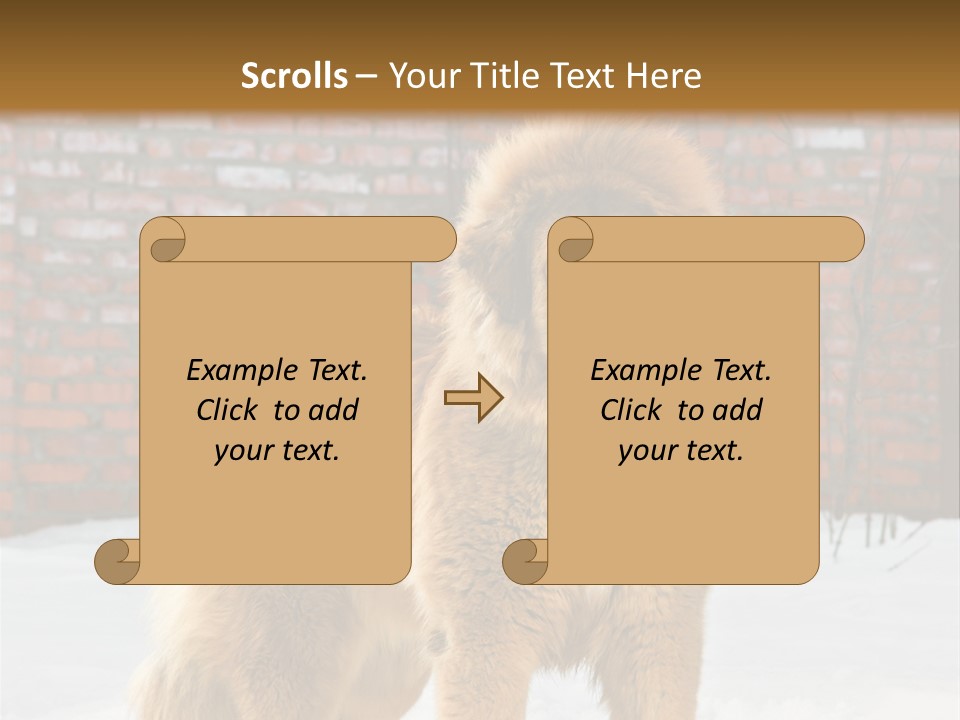 Agent Construction Construct PowerPoint Template