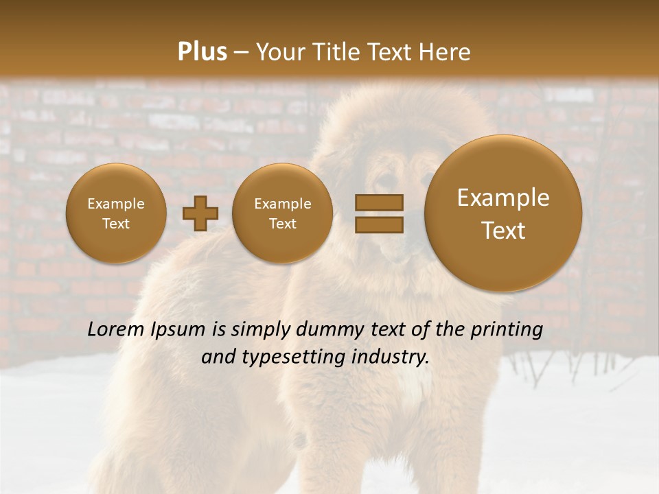 Agent Construction Construct PowerPoint Template