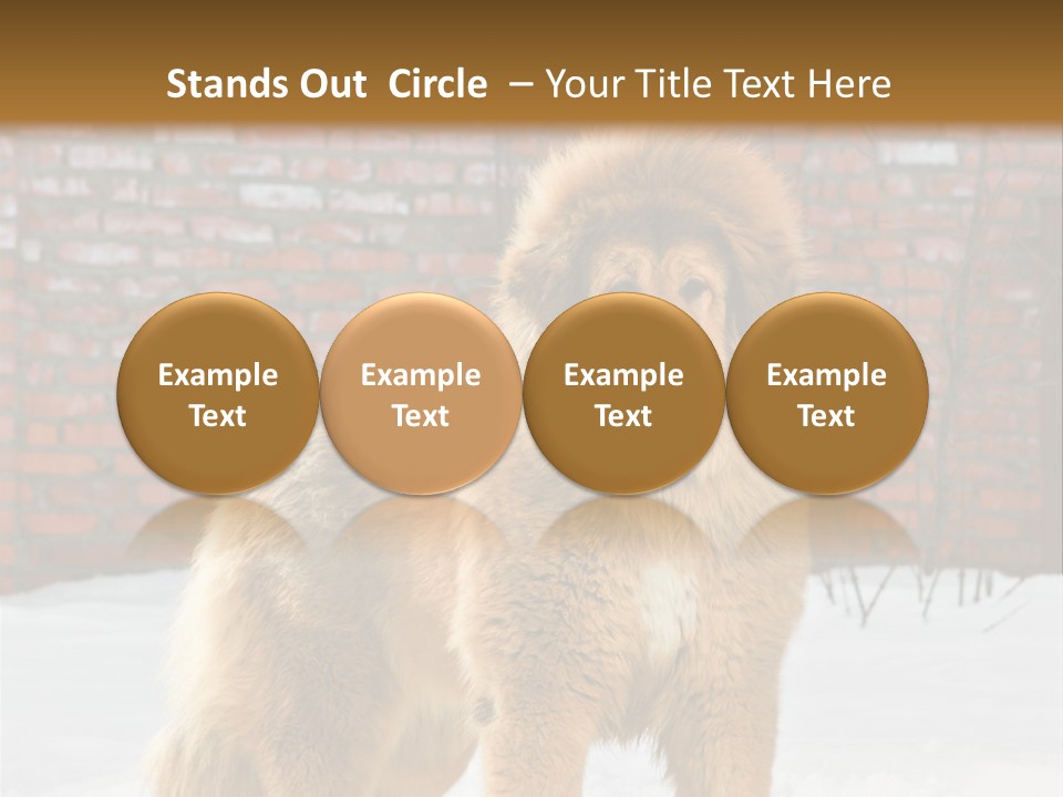Agent Construction Construct PowerPoint Template