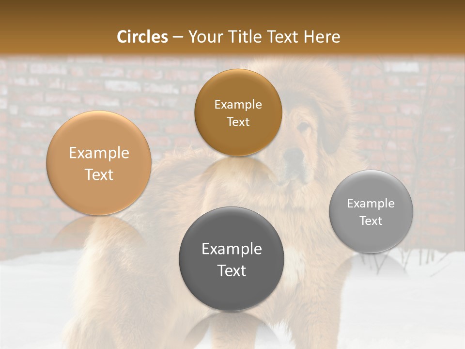 Agent Construction Construct PowerPoint Template