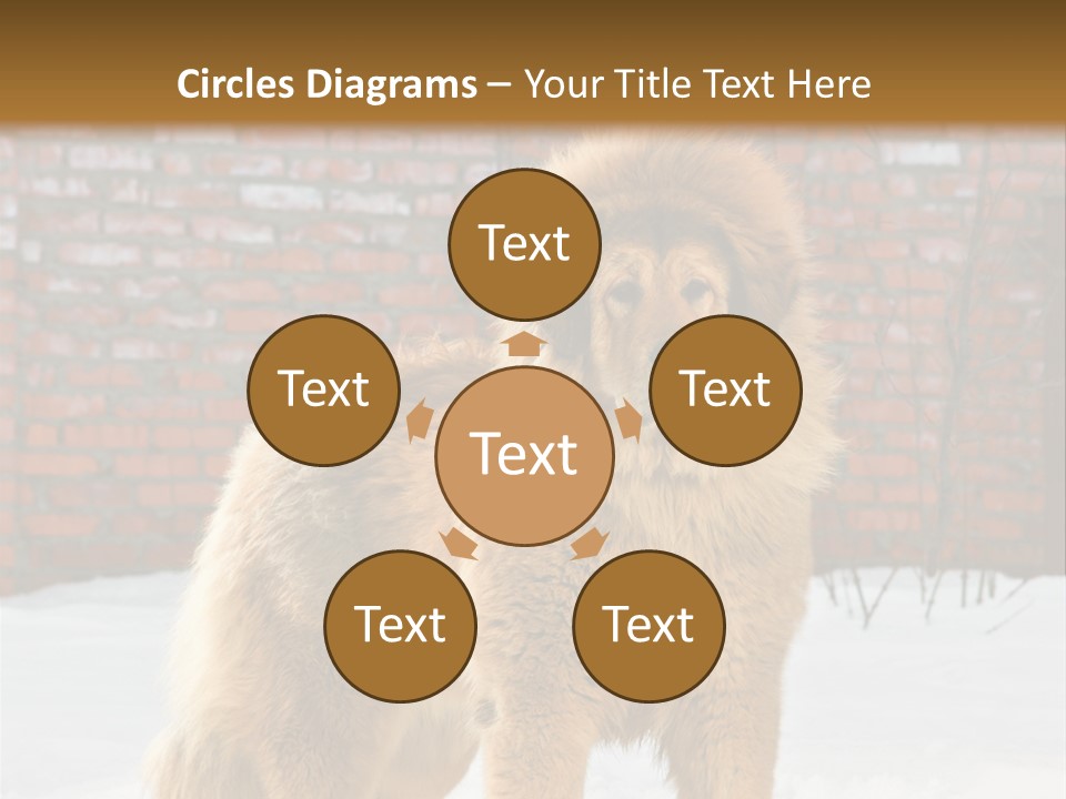 Agent Construction Construct PowerPoint Template