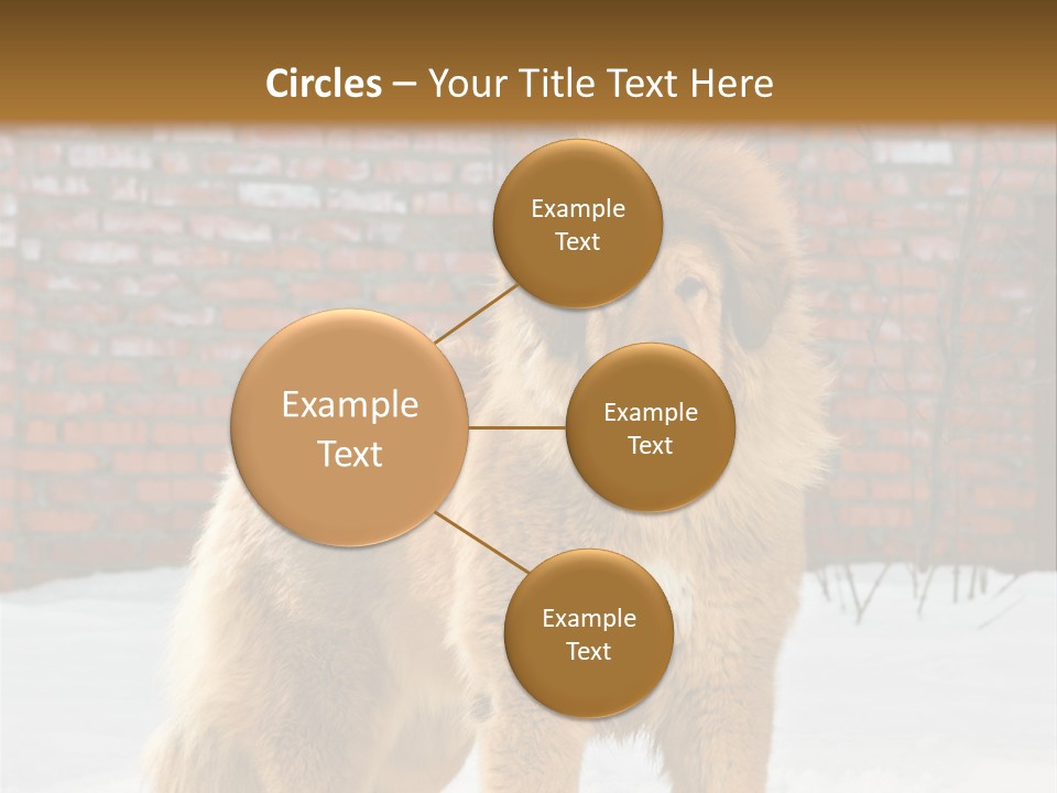 Agent Construction Construct PowerPoint Template