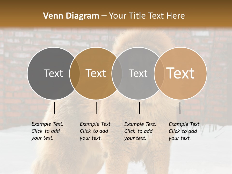 Agent Construction Construct PowerPoint Template
