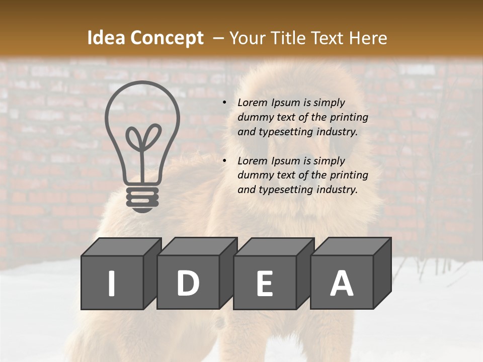 Agent Construction Construct PowerPoint Template
