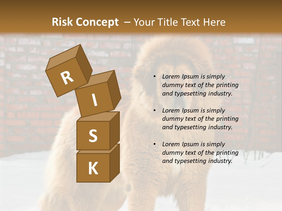 Agent Construction Construct PowerPoint Template