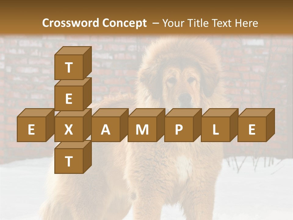 Agent Construction Construct PowerPoint Template