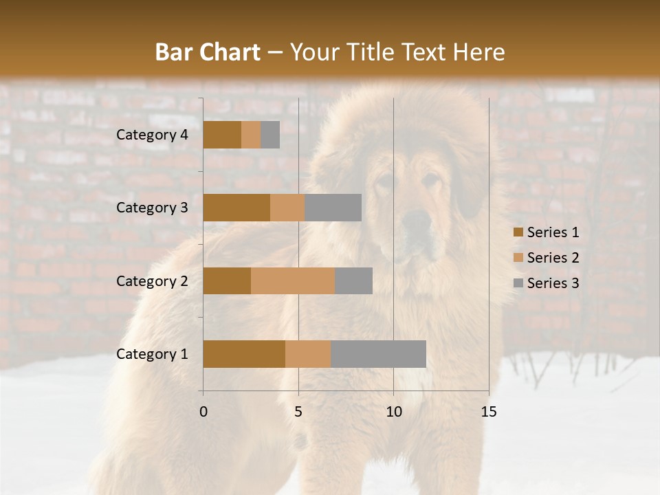 Agent Construction Construct PowerPoint Template