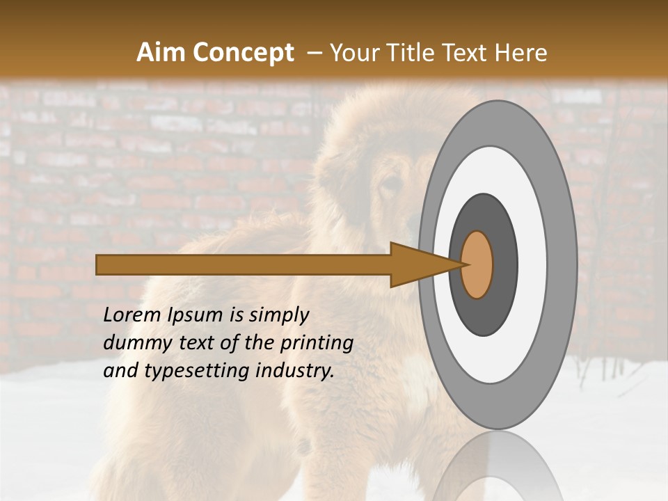 Agent Construction Construct PowerPoint Template