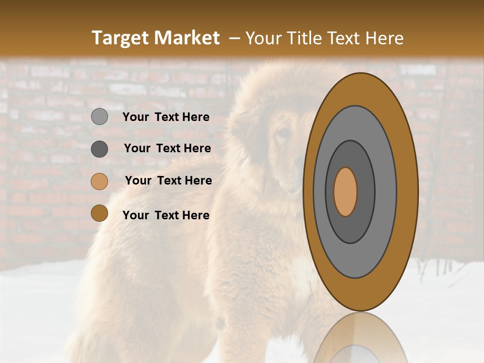 Agent Construction Construct PowerPoint Template