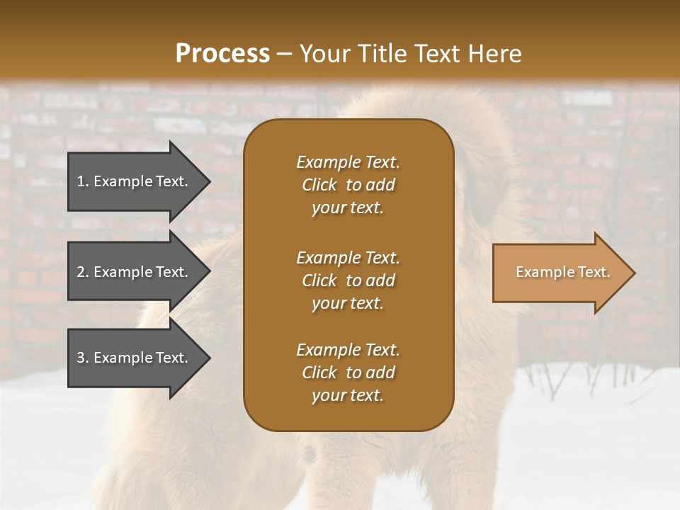 Agent Construction Construct PowerPoint Template