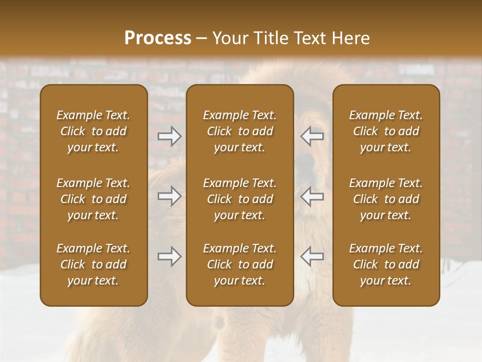 Agent Construction Construct PowerPoint Template
