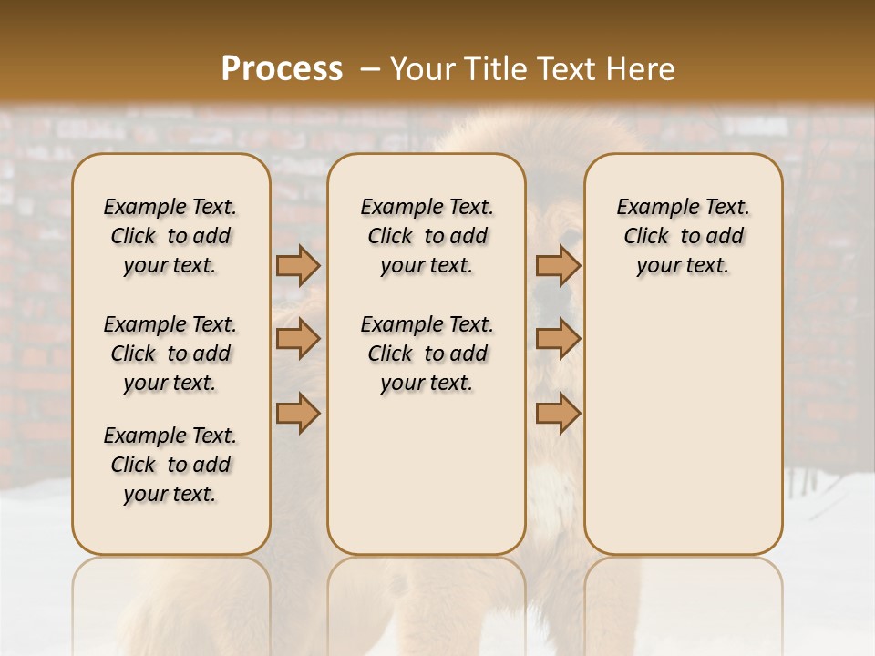 Agent Construction Construct PowerPoint Template