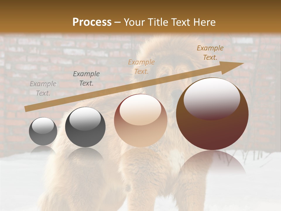Agent Construction Construct PowerPoint Template
