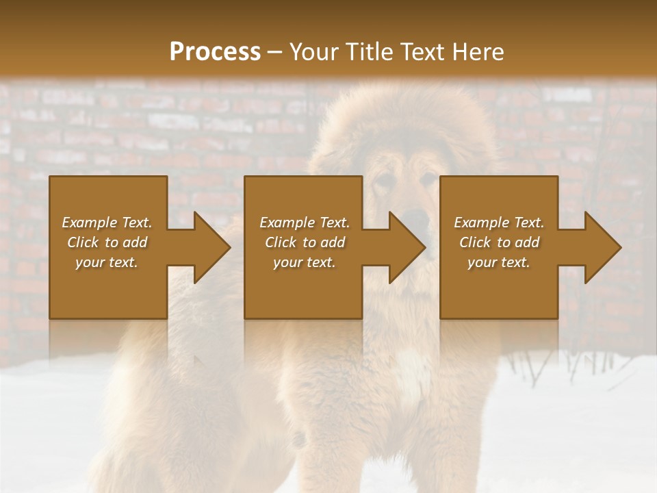Agent Construction Construct PowerPoint Template