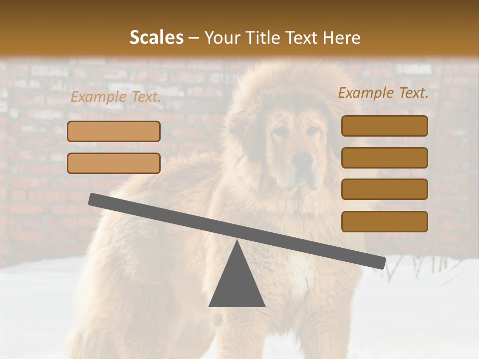 Agent Construction Construct PowerPoint Template