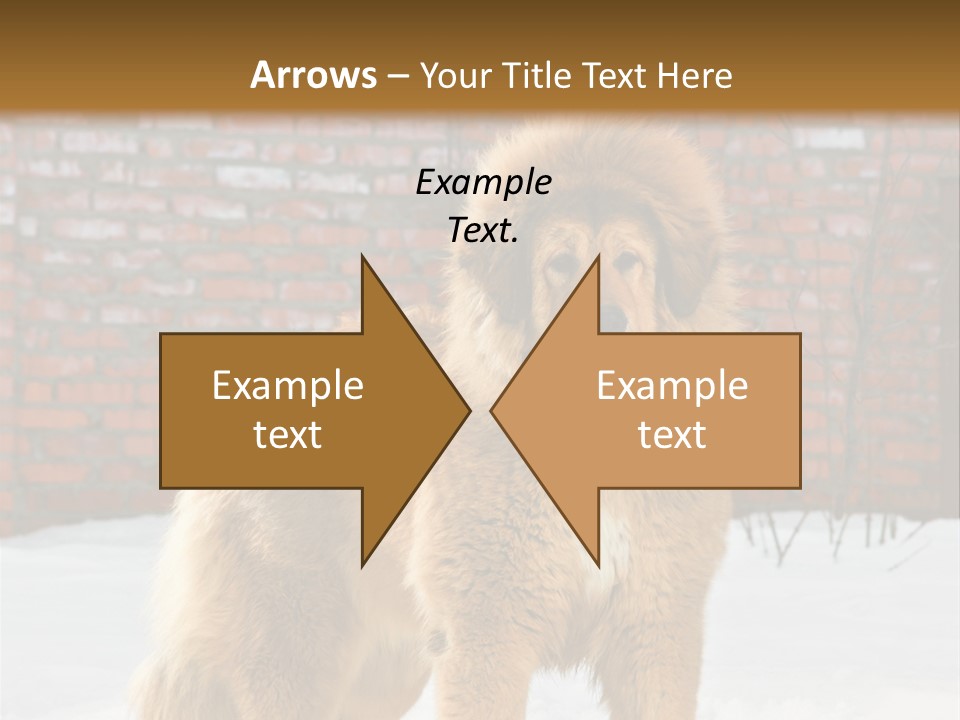Agent Construction Construct PowerPoint Template