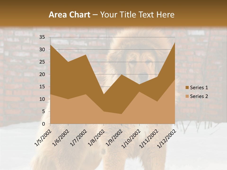 Agent Construction Construct PowerPoint Template