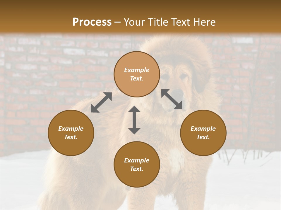 Agent Construction Construct PowerPoint Template