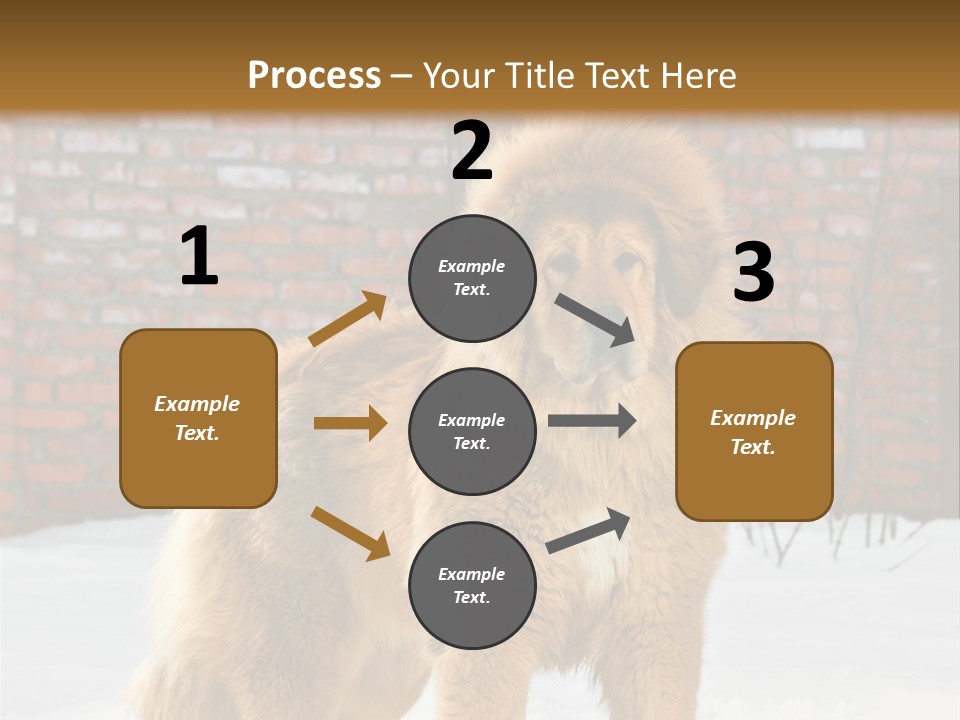 Agent Construction Construct PowerPoint Template