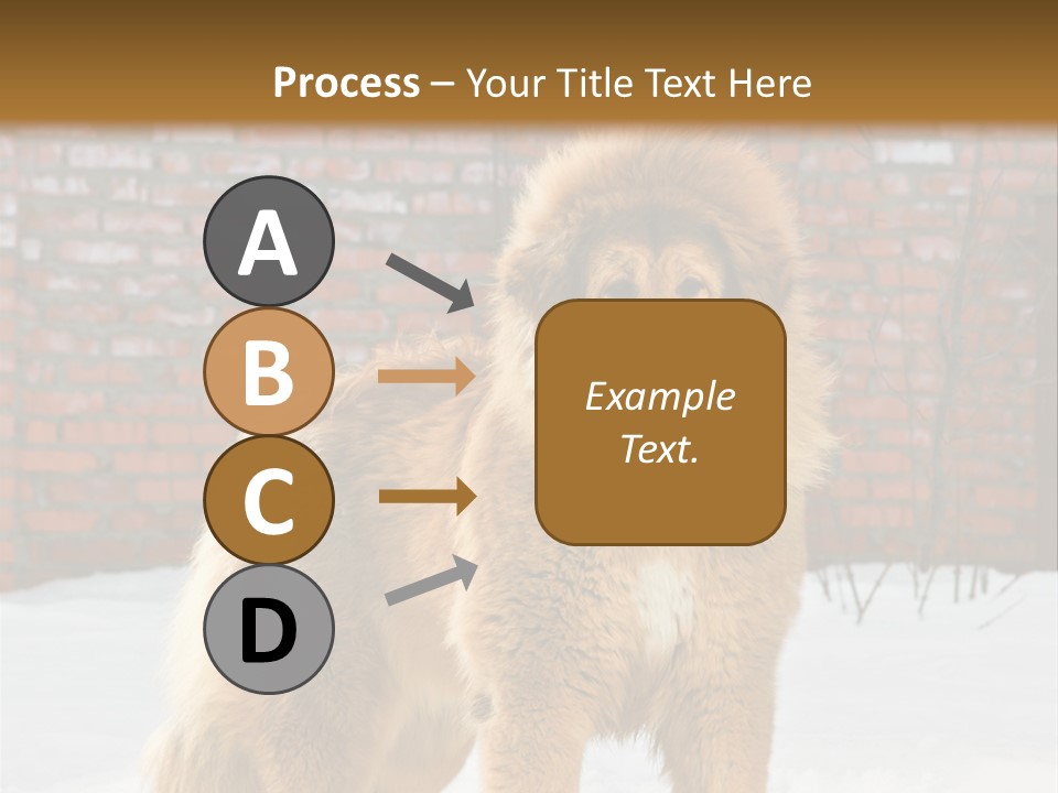 Agent Construction Construct PowerPoint Template