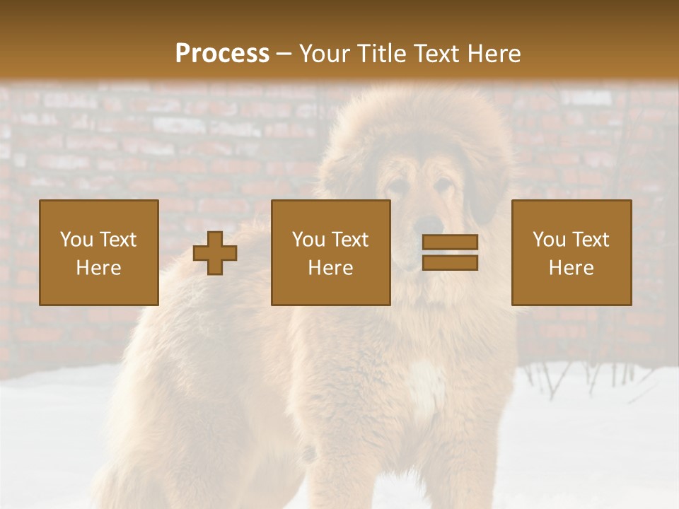 Agent Construction Construct PowerPoint Template