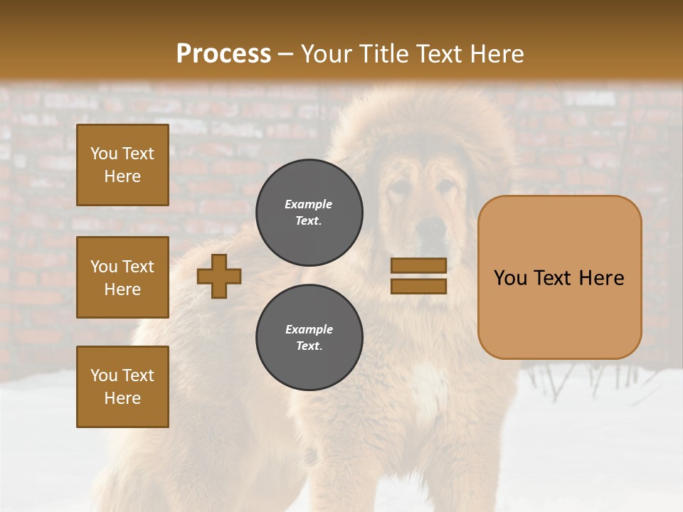 Agent Construction Construct PowerPoint Template