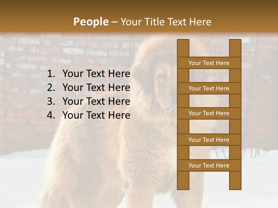 Agent Construction Construct PowerPoint Template
