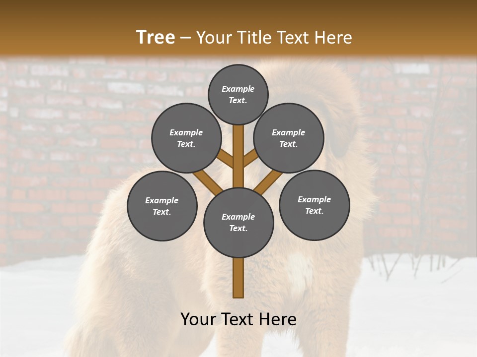 Agent Construction Construct PowerPoint Template