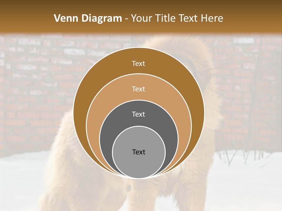 Agent Construction Construct PowerPoint Template