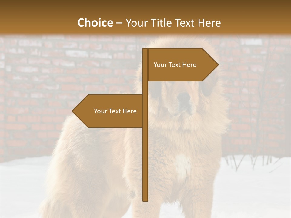 Agent Construction Construct PowerPoint Template