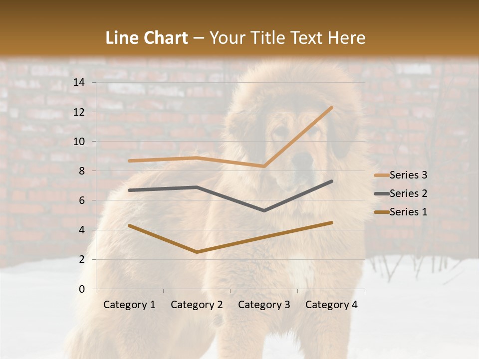 Agent Construction Construct PowerPoint Template
