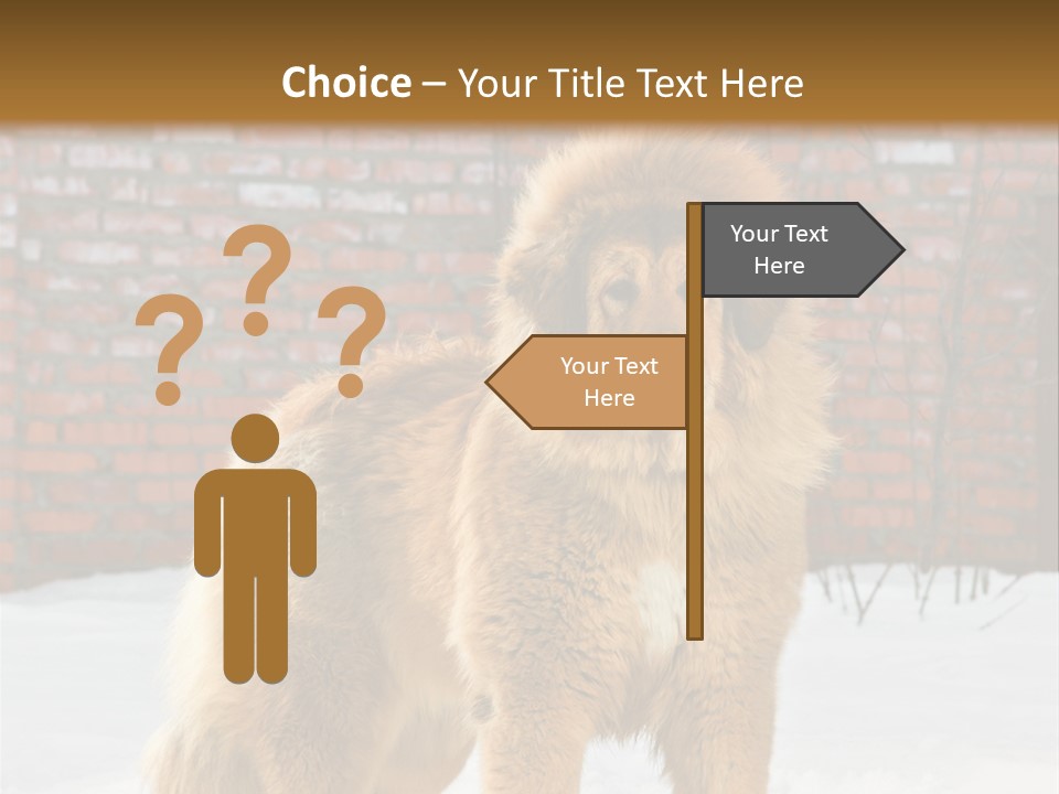 Agent Construction Construct PowerPoint Template