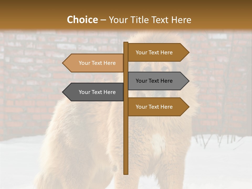 Agent Construction Construct PowerPoint Template