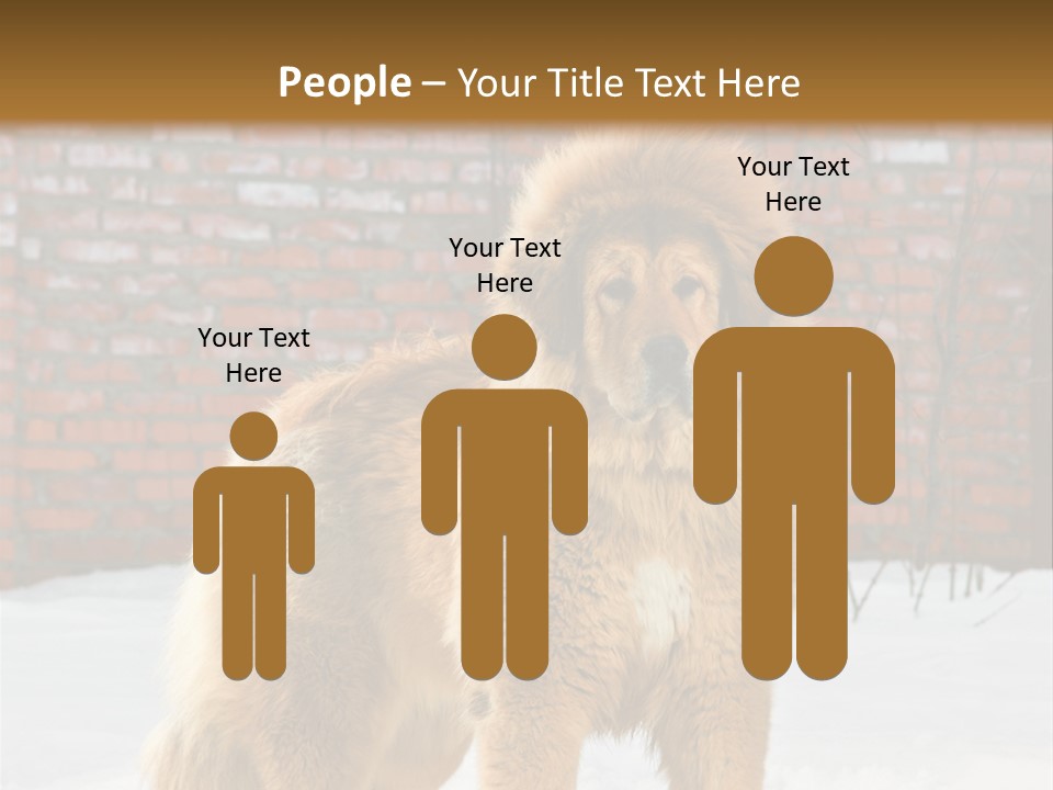 Agent Construction Construct PowerPoint Template