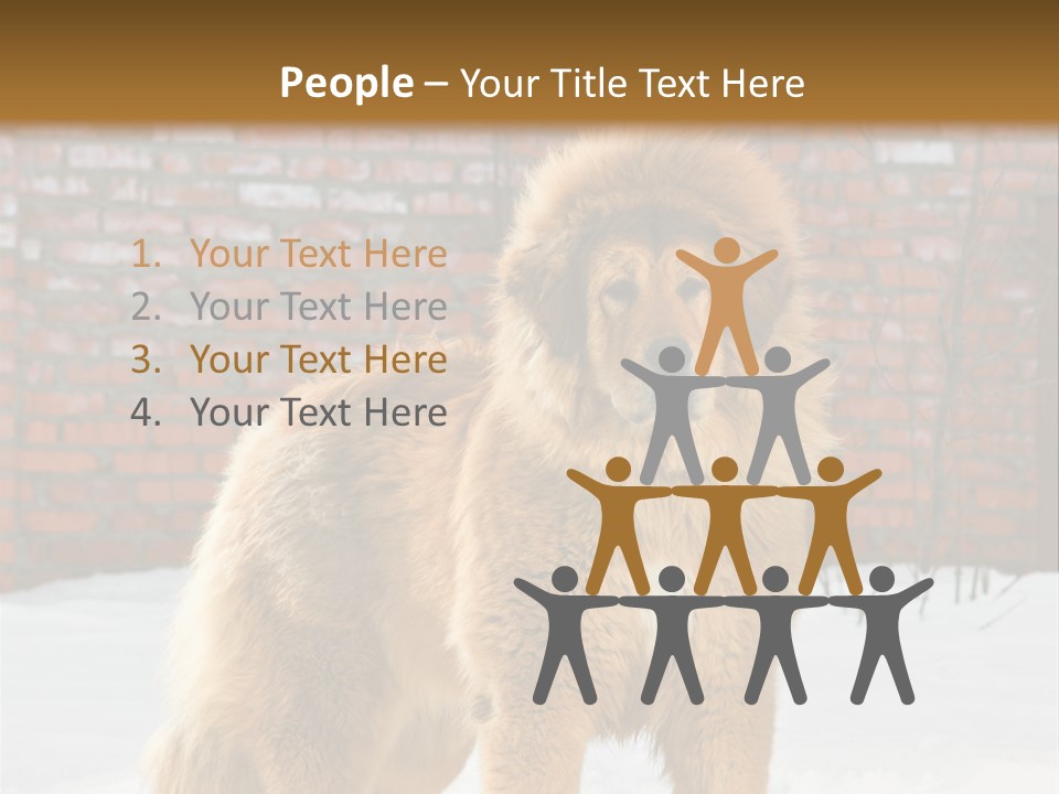 Agent Construction Construct PowerPoint Template